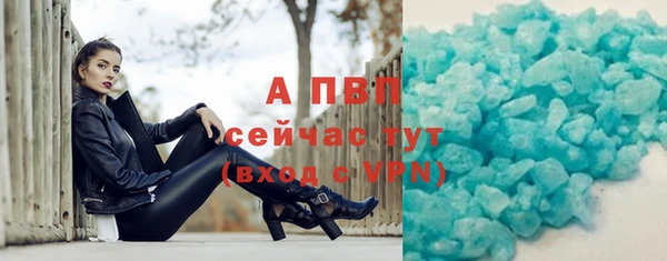 прущие крисы Бородино