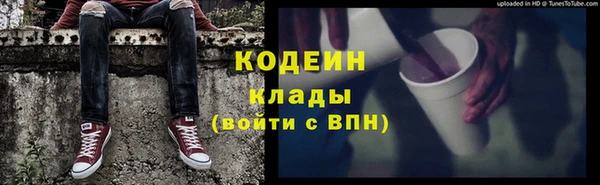 прущие крисы Бородино