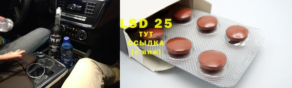прущие крисы Бородино