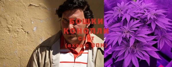 прущие крисы Бородино