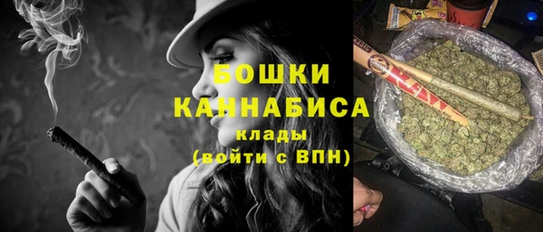 прущие крисы Бородино