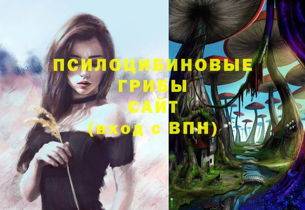 прущие крисы Бородино