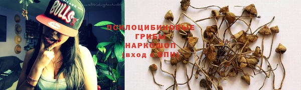 прущие крисы Бородино